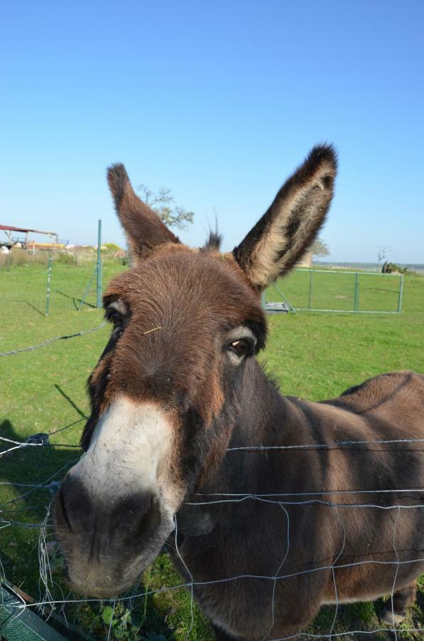 Gite Brin De Campagne Vaucremont Buitenkant foto